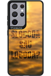 S or L - Samsung Galaxy S21 Ultra