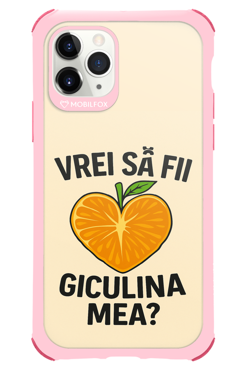 Design Clean 2.0 - Apple iPhone 11 Pro