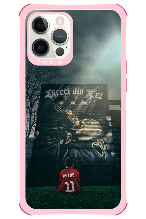Direct Din Tei Artwork 2.0 - Apple iPhone 12 Pro Max