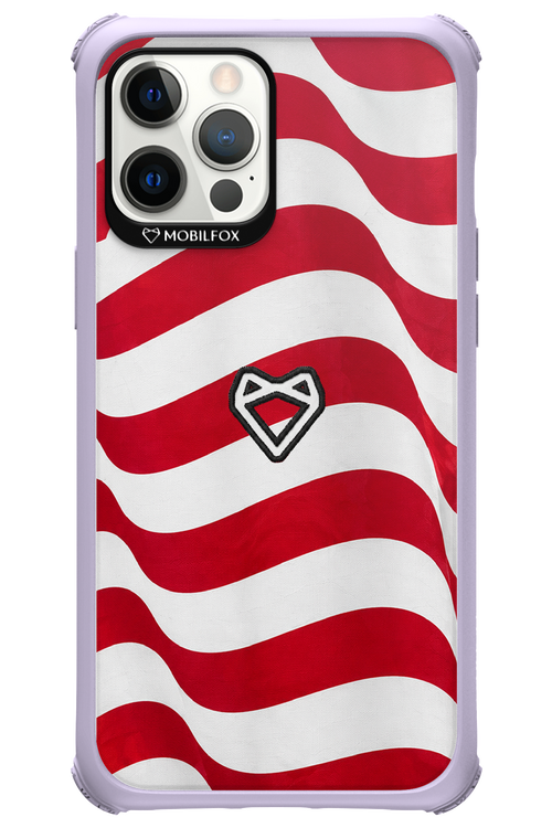 USA 2.0 - Apple iPhone 12 Pro Max
