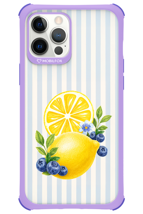 Fresh Flash 2.0 - Apple iPhone 12 Pro Max