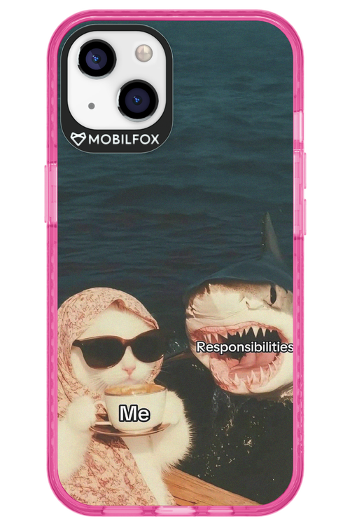 Responsibilities - Apple iPhone 13