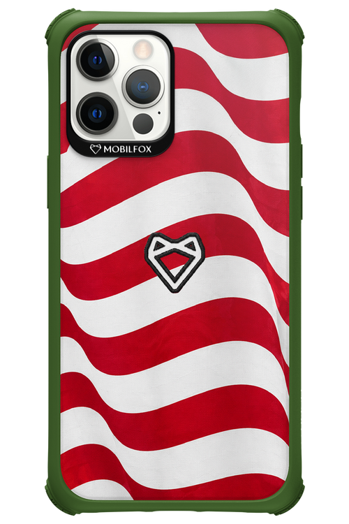 USA 2.0 - Apple iPhone 12 Pro Max