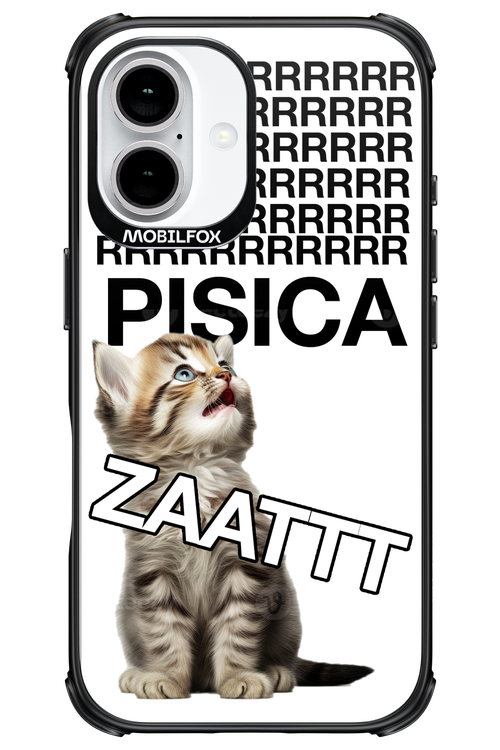 Pisica ztt - Apple iPhone 16