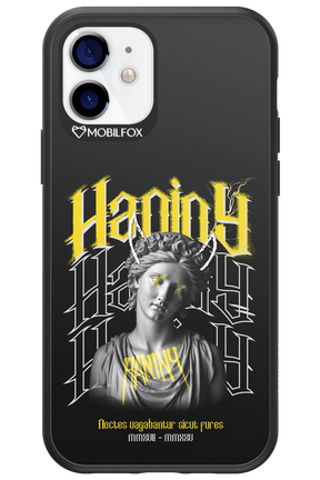 Haniny Icon (black) - Apple iPhone 12