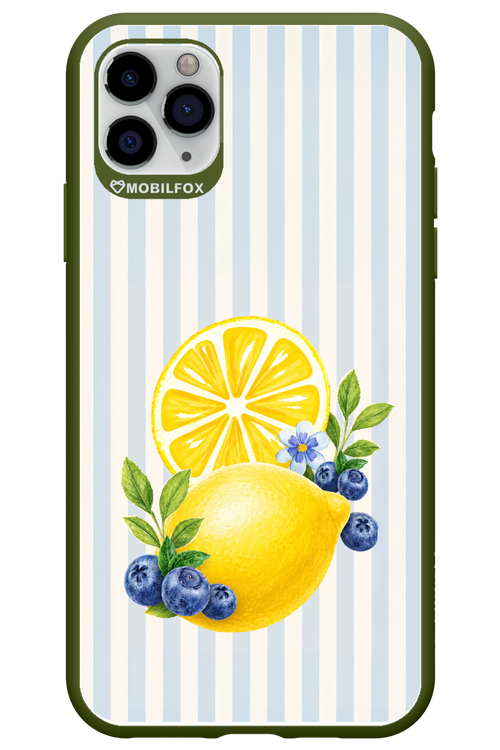 Fresh Flash 2.0 - Apple iPhone 11 Pro Max