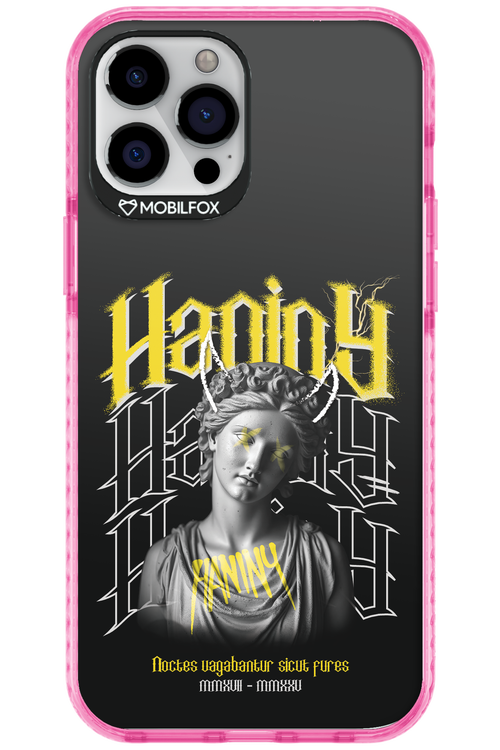Haniny Icon (black) - Apple iPhone 12 Pro Max
