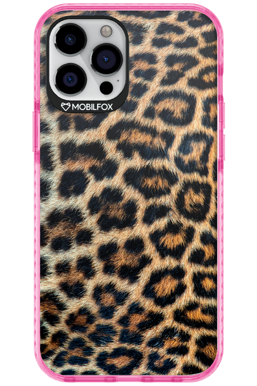 Leopard 2.0 - Apple iPhone 12 Pro Max