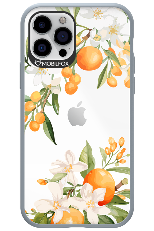 Amalfi Orange 2.0 - Apple iPhone 12 Pro