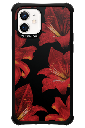 Amaryllis Noir - Apple iPhone 12