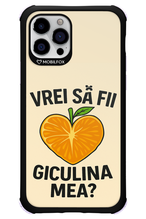 Design Clean 2.0 - Apple iPhone 12 Pro