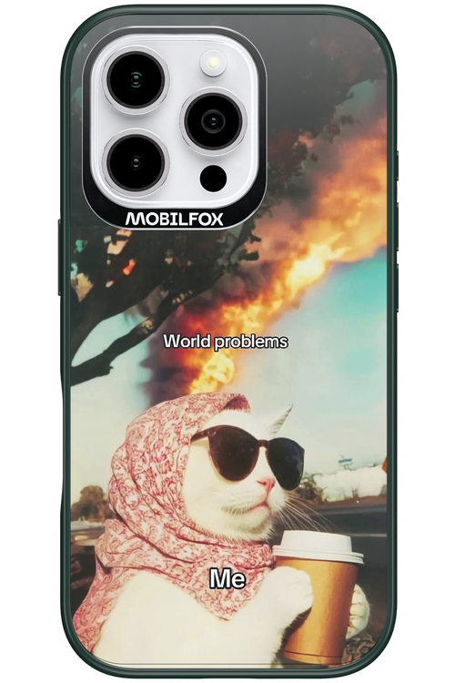 World Problems - Apple iPhone 16 Pro
