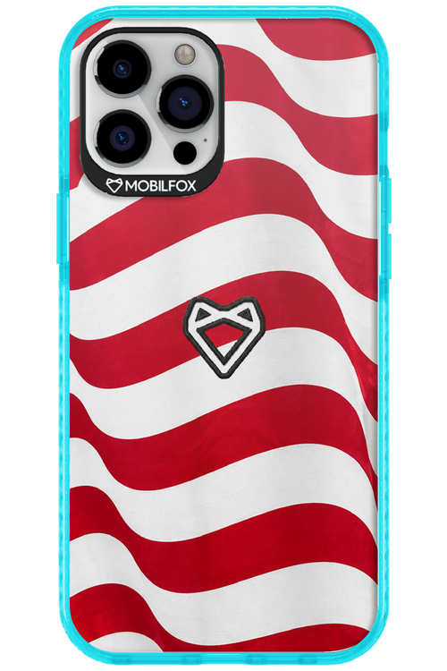 USA 2.0 - Apple iPhone 12 Pro Max
