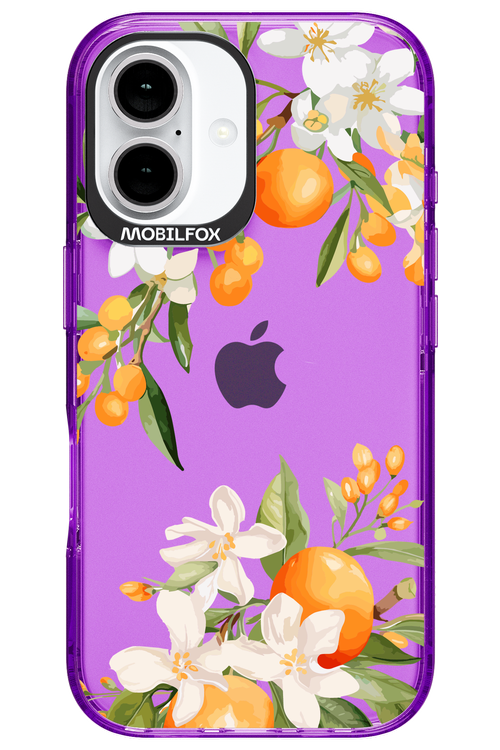 Amalfi Orange 2.0 - Apple iPhone 16