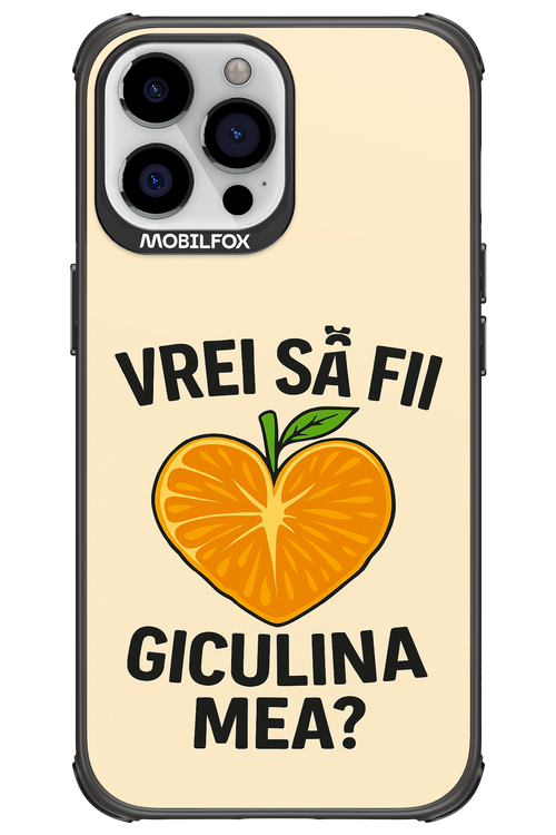 Design Clean 2.0 - Apple iPhone 13 Pro Max
