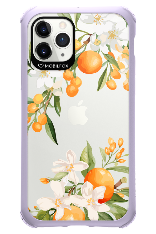 Amalfi Orange 2.0 - Apple iPhone 11 Pro