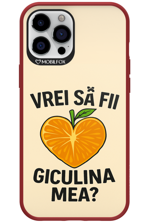 Design Clean 2.0 - Apple iPhone 12 Pro Max