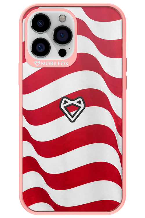 USA 2.0 - Apple iPhone 13 Pro Max