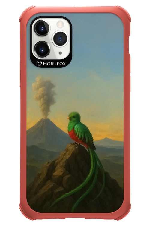 Birdy 2.0 - Apple iPhone 11 Pro