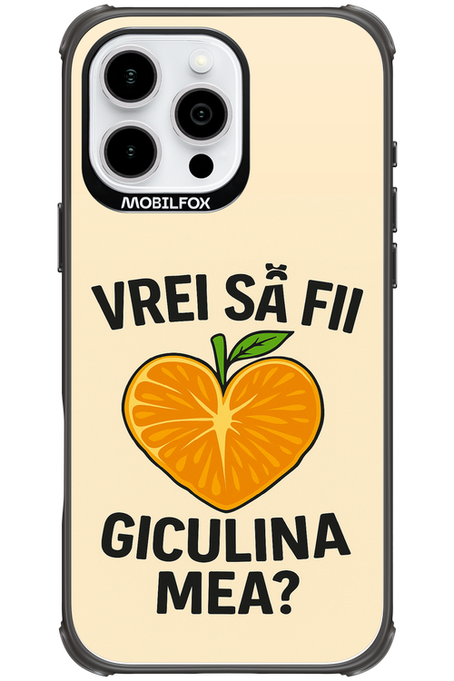 Design Clean 2.0 - Apple iPhone 16 Pro Max