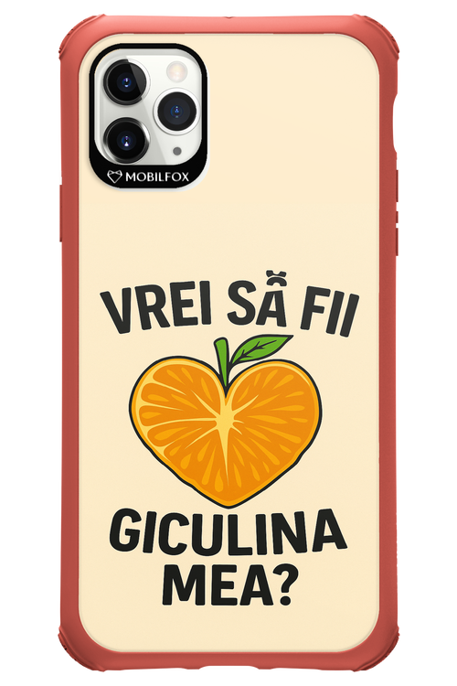 Design Clean 2.0 - Apple iPhone 11 Pro Max