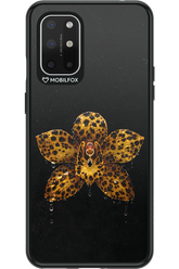 Wet & Wild 2.0 - OnePlus 8T