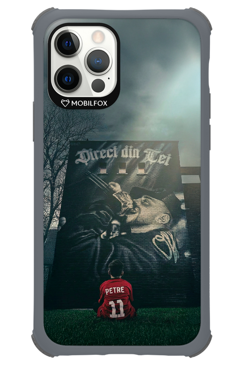 Direct Din Tei Artwork 2.0 - Apple iPhone 12 Pro