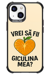 Design Clean - Apple iPhone 13 Mini