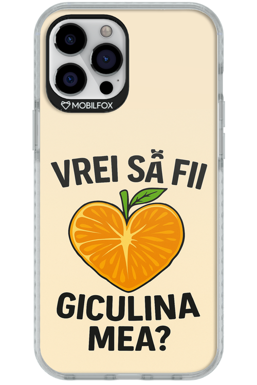 Design Clean 2.0 - Apple iPhone 12 Pro Max