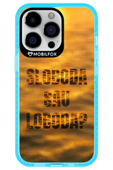 S or L - Apple iPhone 13 Pro