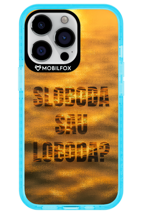 S or L - Apple iPhone 13 Pro
