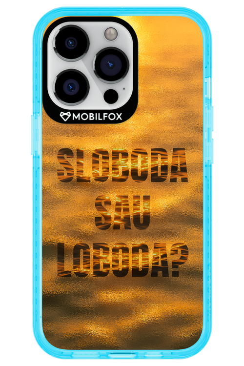 S or L - Apple iPhone 13 Pro