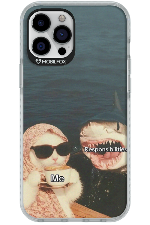 Responsibilities - Apple iPhone 12 Pro Max