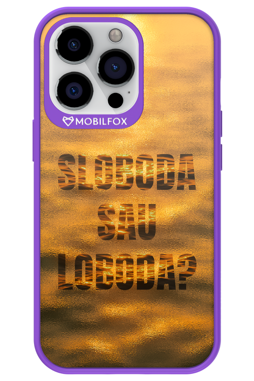 S or L - Apple iPhone 13 Pro