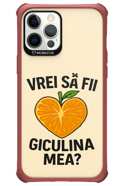 Design Clean 2.0 - Apple iPhone 12 Pro Max