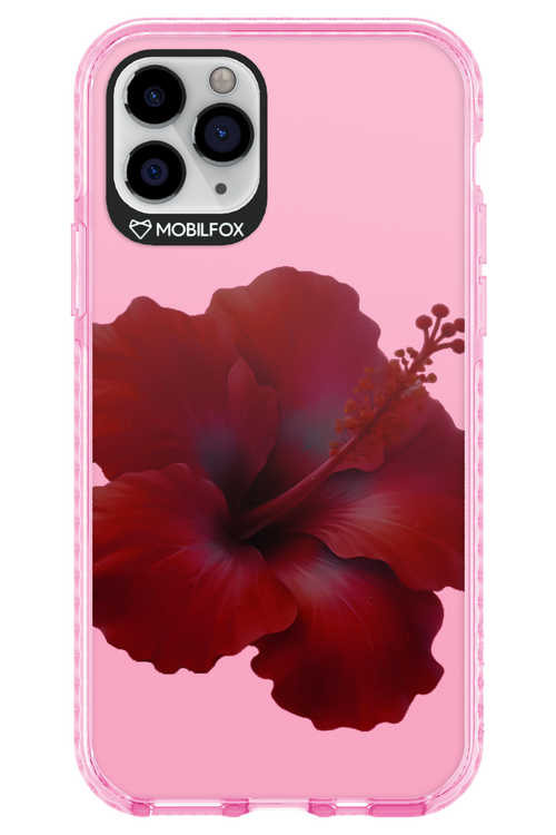 HibiGundy - Apple iPhone 11 Pro