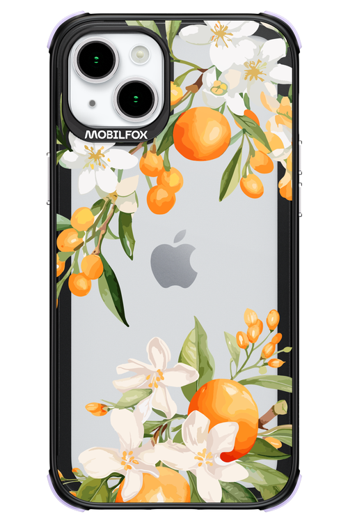 Amalfi Orange 2.0 - Apple iPhone 15 Plus