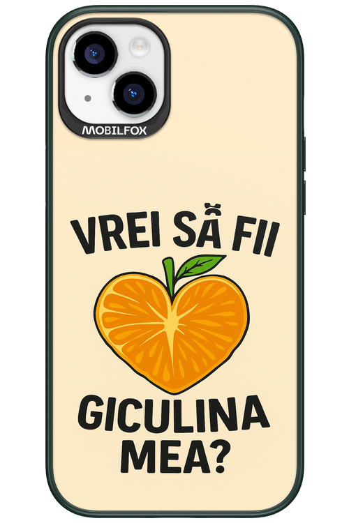 Design Clean 2.0 - Apple iPhone 15 Plus