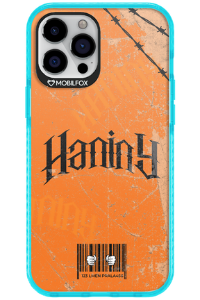 Haniny Grunge - Apple iPhone 12 Pro Max