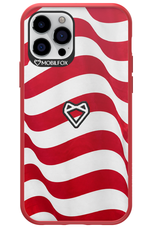 USA 2.0 - Apple iPhone 12 Pro