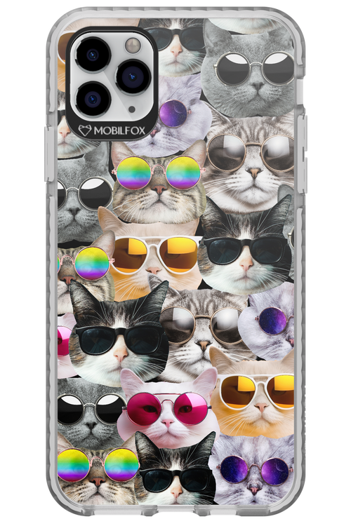 Cat World - Apple iPhone 11 Pro Max