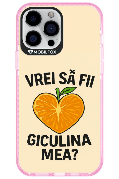Design Clean 2.0 - Apple iPhone 13 Pro Max