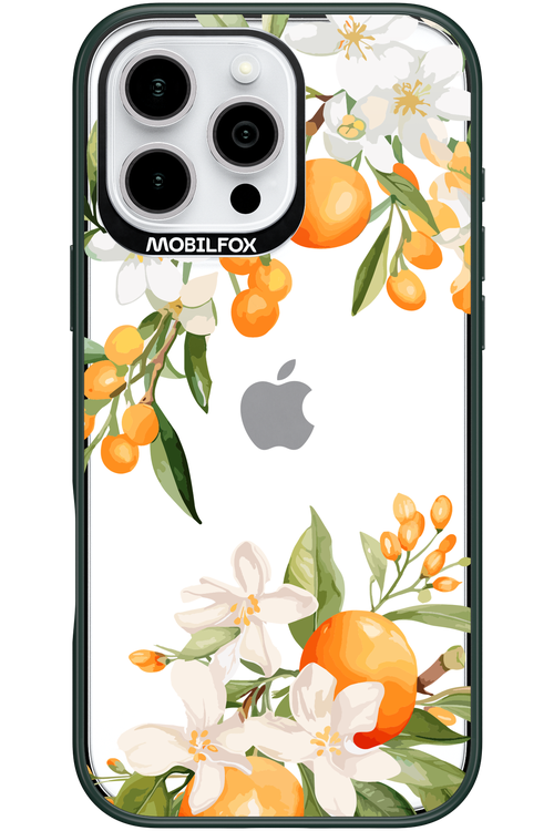 Amalfi Orange 2.0 - Apple iPhone 16 Pro Max