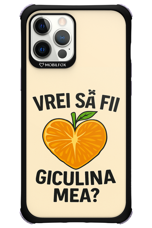 Design Clean 2.0 - Apple iPhone 12 Pro Max