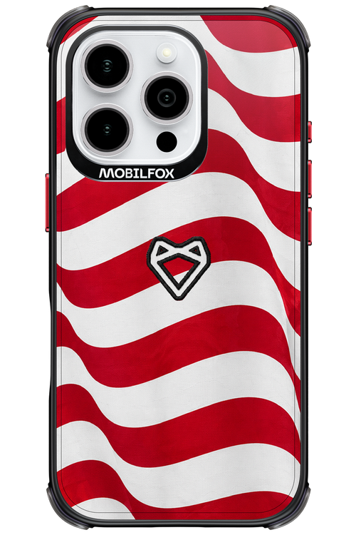 USA 2.0 - Apple iPhone 16 Pro