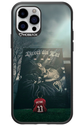 Direct Din Tei Artwork 2.0 - Apple iPhone 12 Pro
