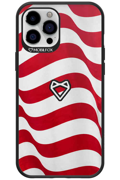 USA 2.0 - Apple iPhone 12 Pro Max