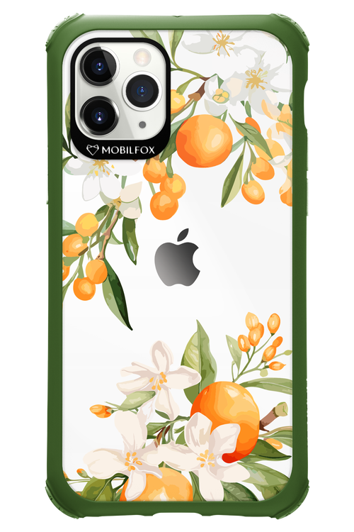 Amalfi Orange 2.0 - Apple iPhone 11 Pro