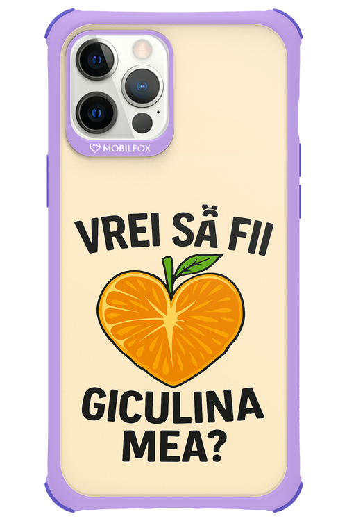 Design Clean 2.0 - Apple iPhone 12 Pro Max