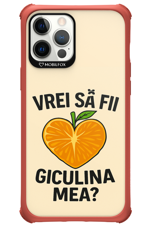 Design Clean 2.0 - Apple iPhone 12 Pro Max